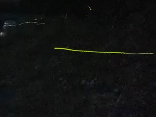 Kleines Glühwürmchen