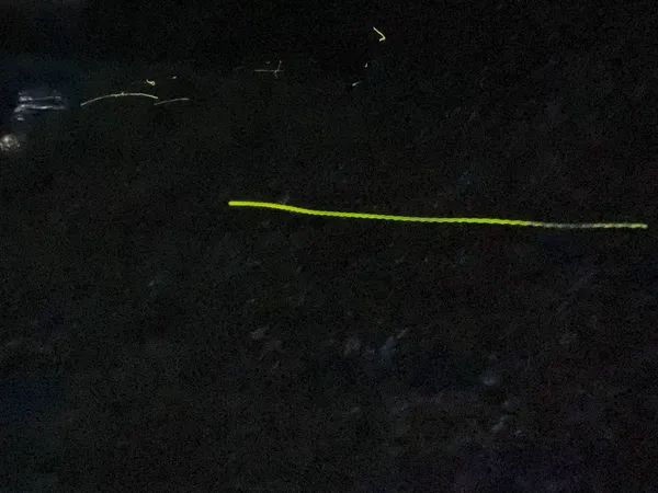 Kleines Glühwürmchen